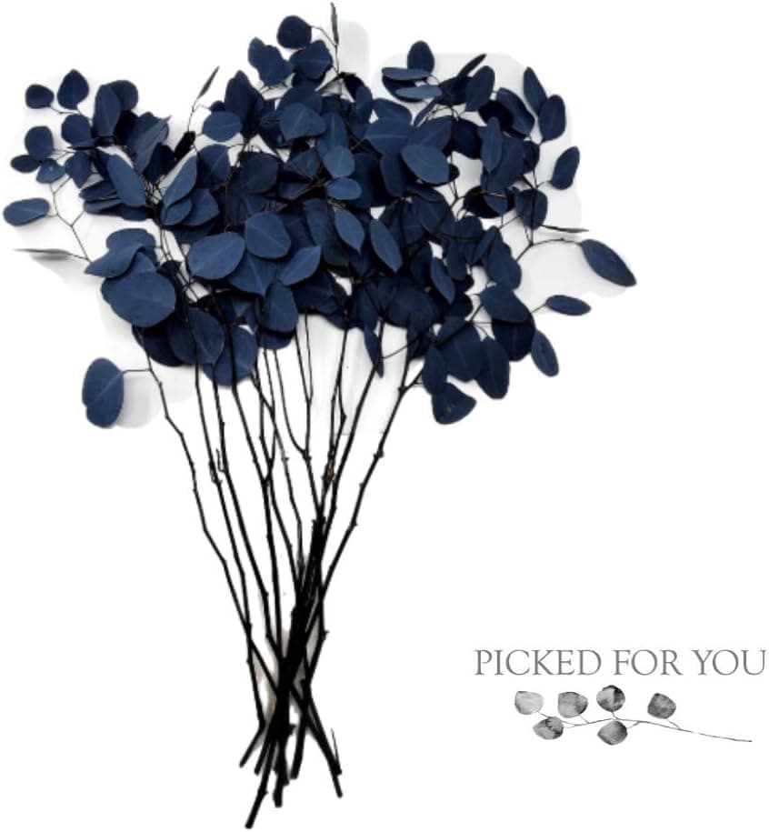Preserved Silver Dollar Eucalyptus - Blue