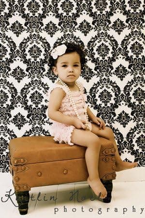 LA Linen8482; 58-Inch Wide By 108-Inch High, Photography Backdrop Flocking Taffeta/Damask, Black On White. Made in USA.