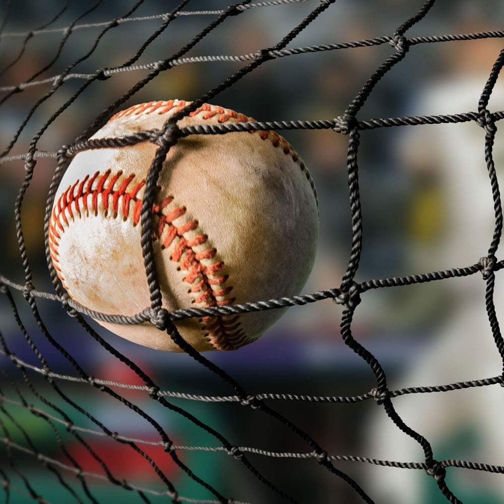 ProMounds #42 Nylon Baseball Backstop Netting