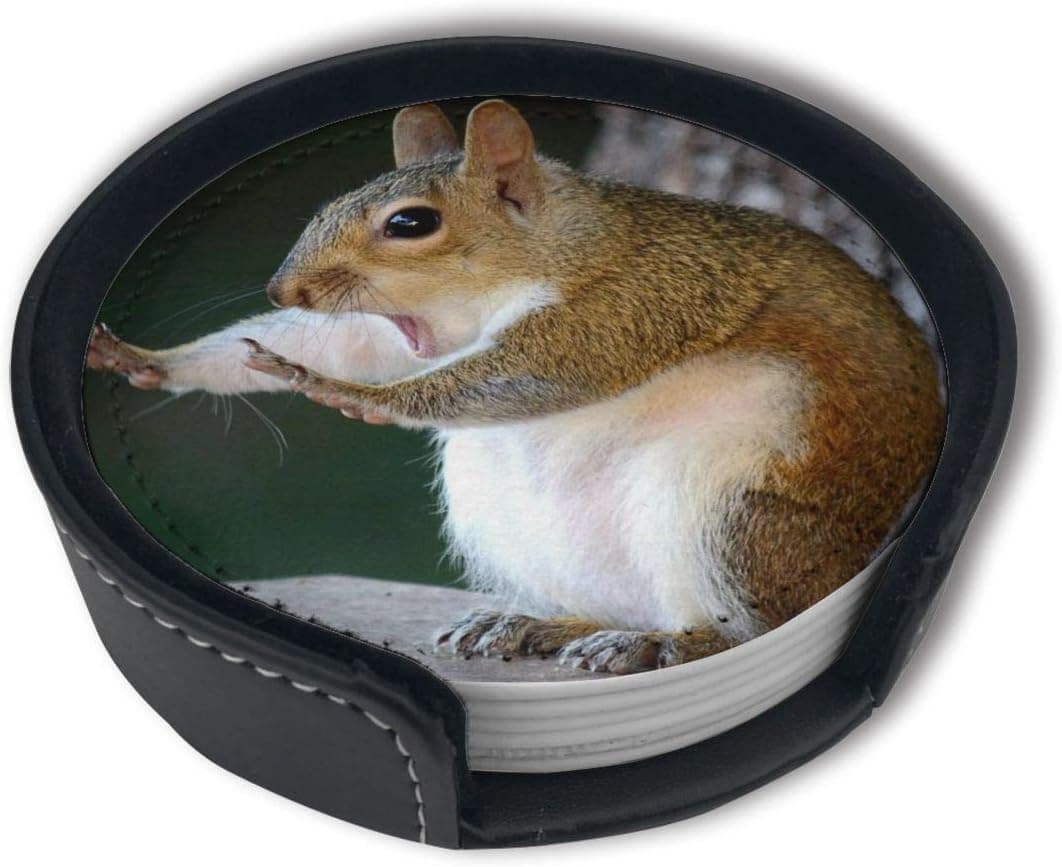 HBLSHISHUAIGE Funny Pug Squirrel Coasters with Holder Set,Round Mugs and Cups Mat Pad for Drinks,Suitable for Home and Kitchen(6PCS)