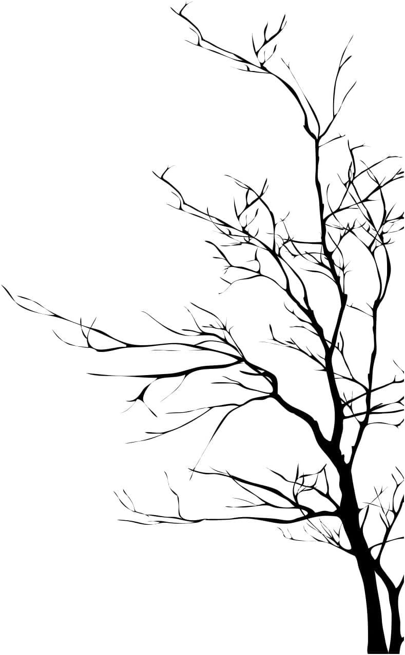 Stickerbrand© Nature Vinyl Wall Art Bare Tree Branch Wall Decal Sticker - Black, 60" x 35". Easy to Apply & Removable.