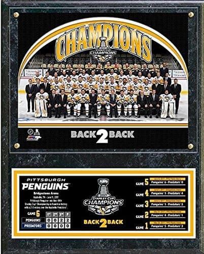 Pittsburgh Penguins 2017 Stanley Cup Champions Wood Plaque (Size: 12" x 15")