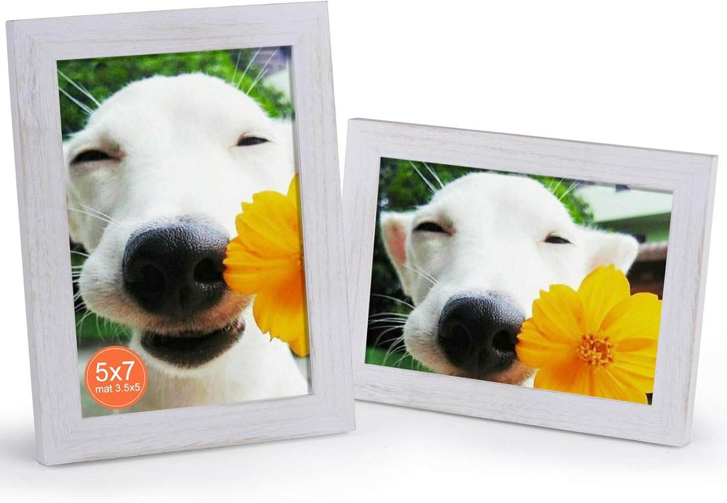 DLQuarts 5x7 Wood Picture Photo Frame, for Tabletop and Wall Mount, 2-Pack, 3.5x5 with Mat or 5x7 Without Mat Vintage White