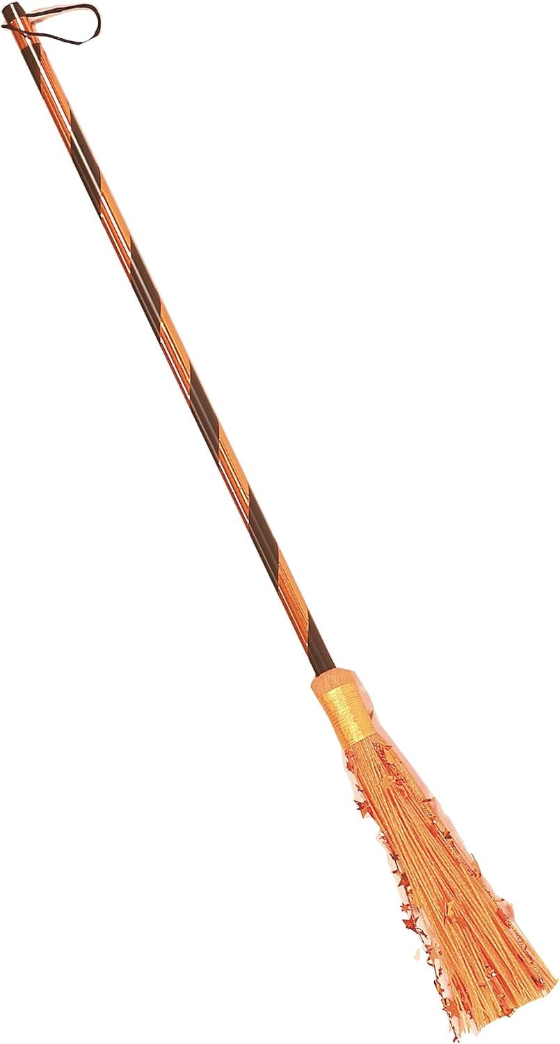 Rubie's Costume Co Women's Metallic Witch Broom
