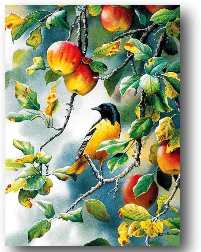 Cobble Hill Northern Oriole Bird Apple Fruit Art Jigsaw Puzzle 1000 Pieces