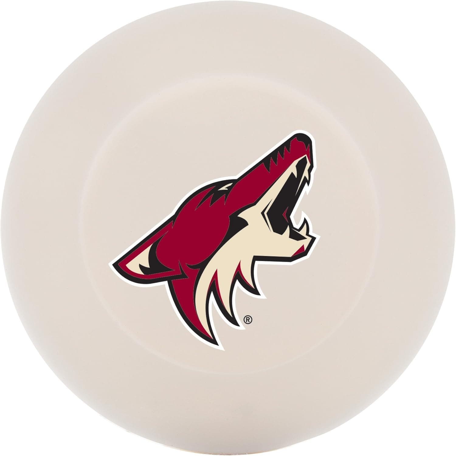 Franklin Sports NHL Team Licensed Street Hockey Puck