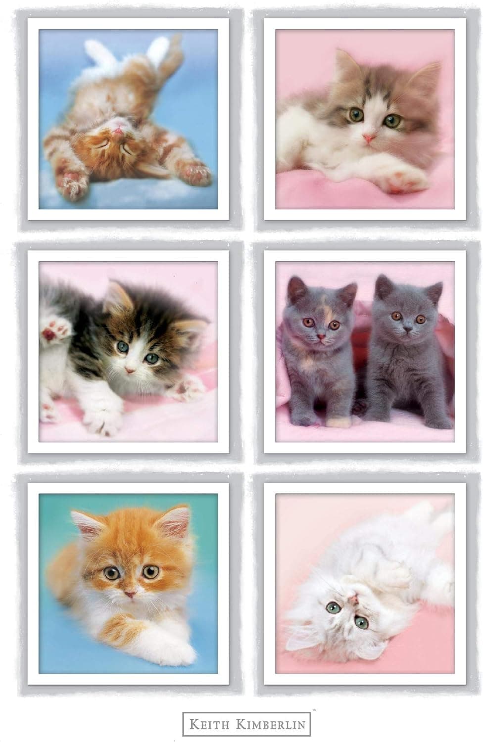 Trends International Keith Kimberlin - Kittens Wall Poster, 22.375" x 34", Premium Unframed Version
