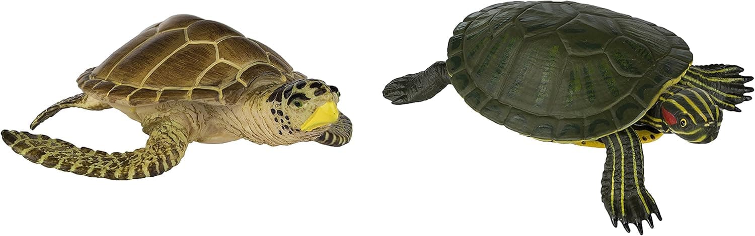 Safari Ltd Wild Safari Sea Life Loggerhead Turtle wtih Safari Ltd Incredible Creatures Red-Eared Slider Turtle