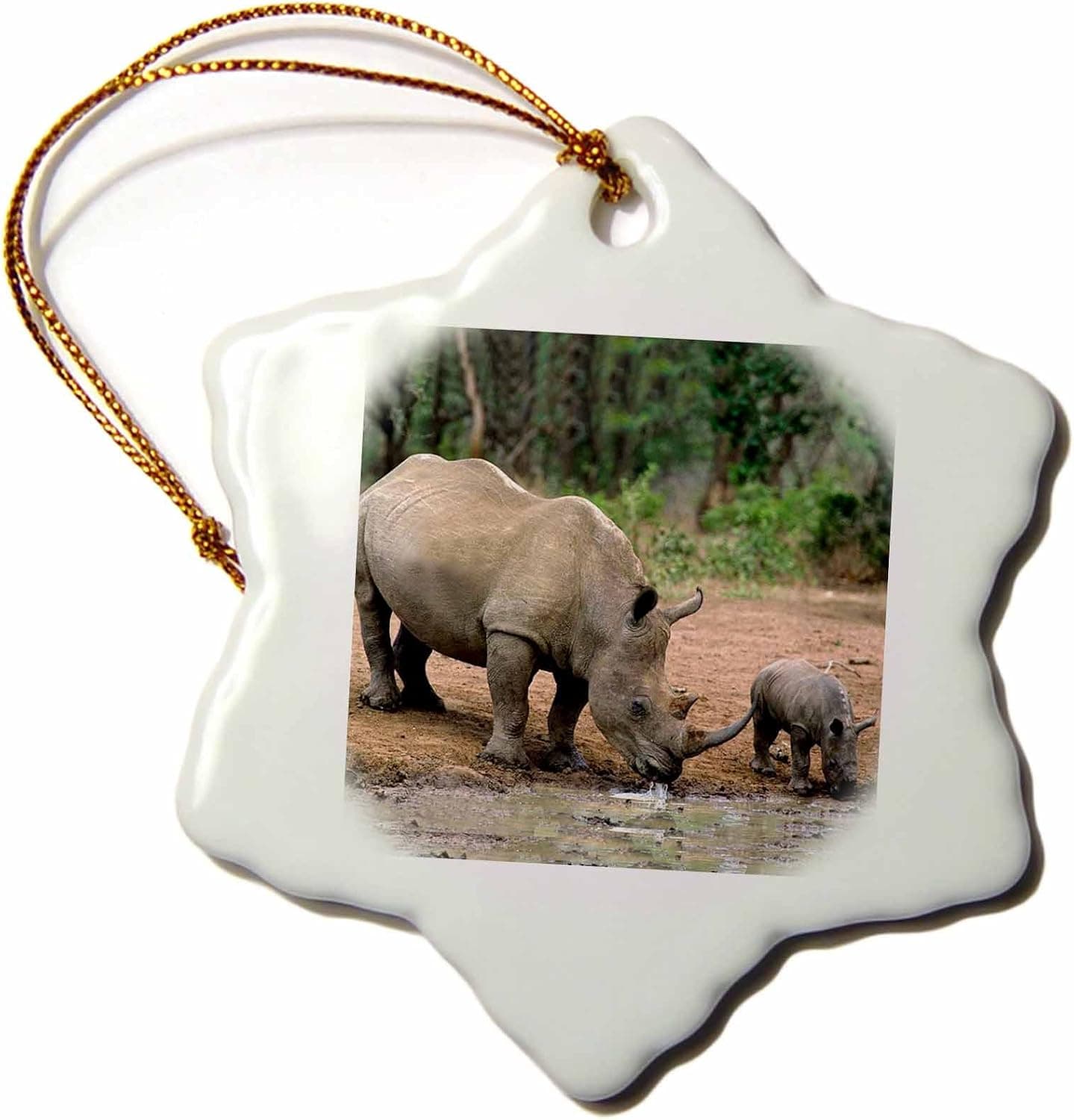 3dRose Black Rhinoceros Snowflake Porcelain Ornament, 3-Inch