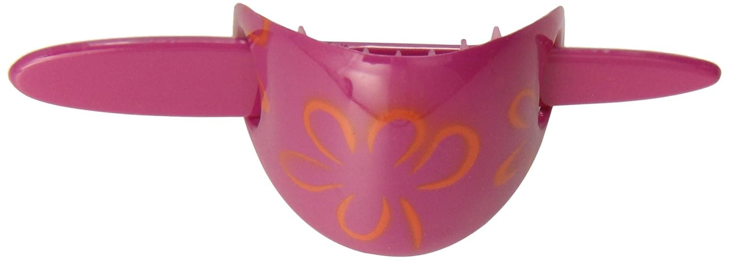 Caravan Pin Through Pony Floral And Abstracted Bright Color Painting