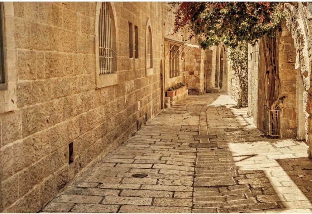 CSFOTO 5x3ft Jerusalem Old Narrow Street Backdrop Old Jerusalem Stone Backdrop Spring Flowers Sunshine Background for Photography Backdrop Ancient Stone Wall Backdrop Cave Backdrop