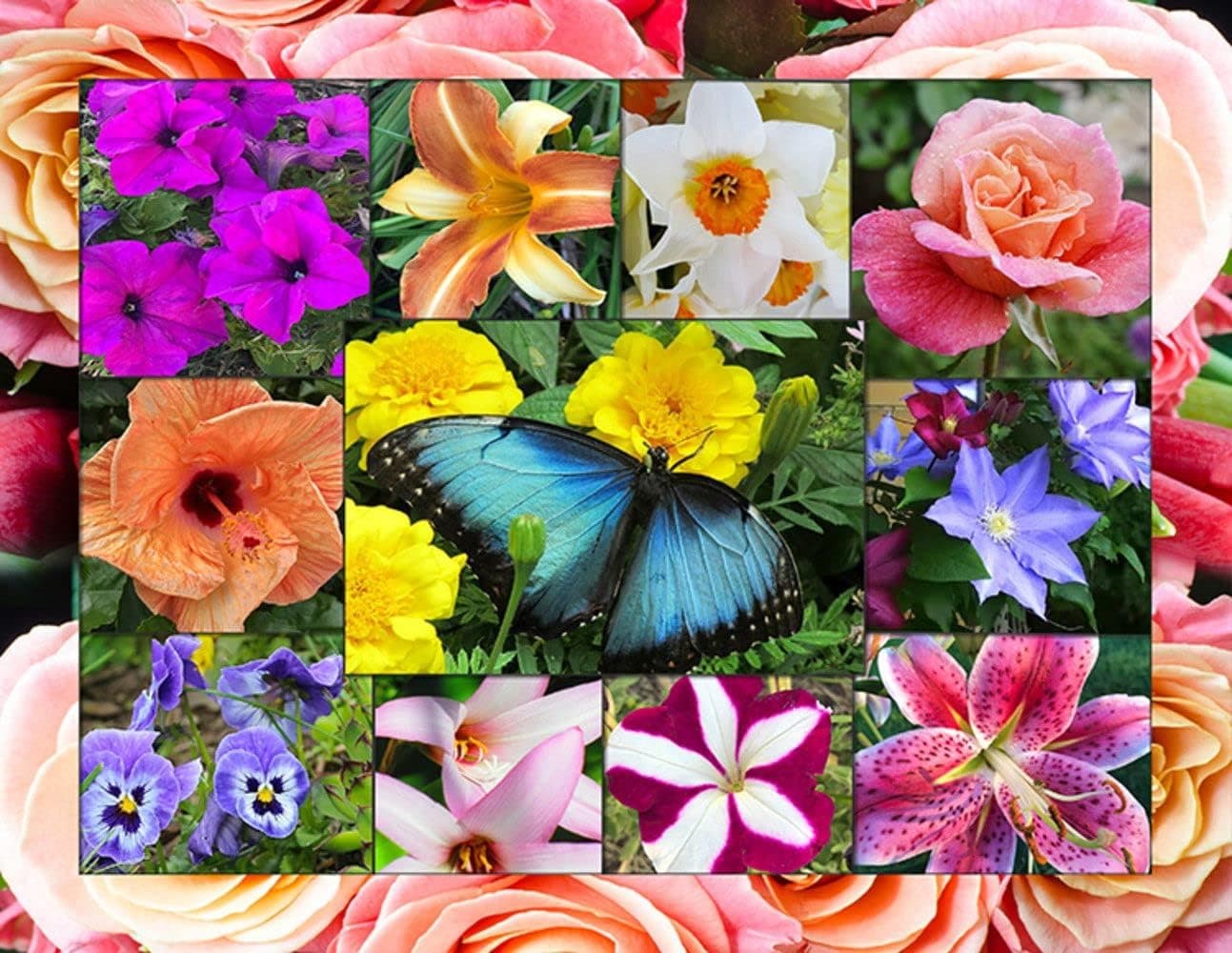 Springbok's 500 Piece Jigsaw Puzzle In Bloom - Made in USA