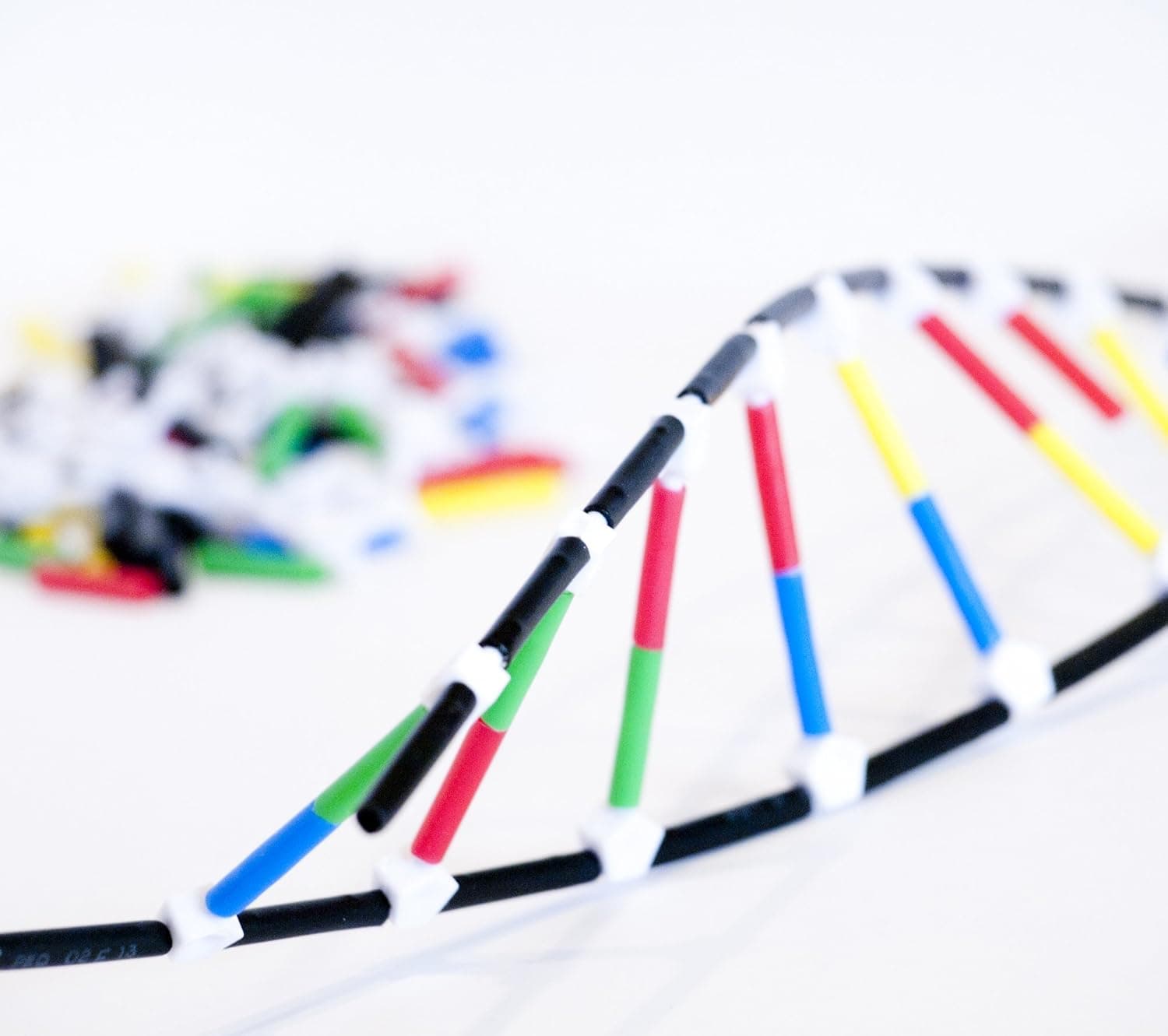 ScienceWiz - DNA Double Helix Ladder Rungs