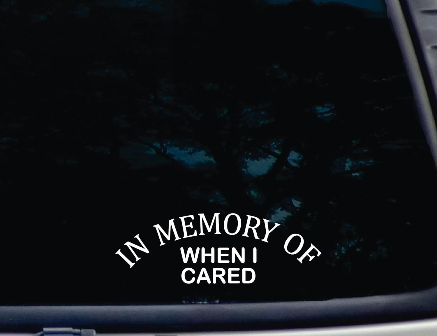 in Memory of When I Cared - 8" x 2 3/4" die Cut Vinyl Decal for Windows, Cars, Trucks, Tool Boxes, laptops, MacBook - virtually Any Hard, Smooth Surface