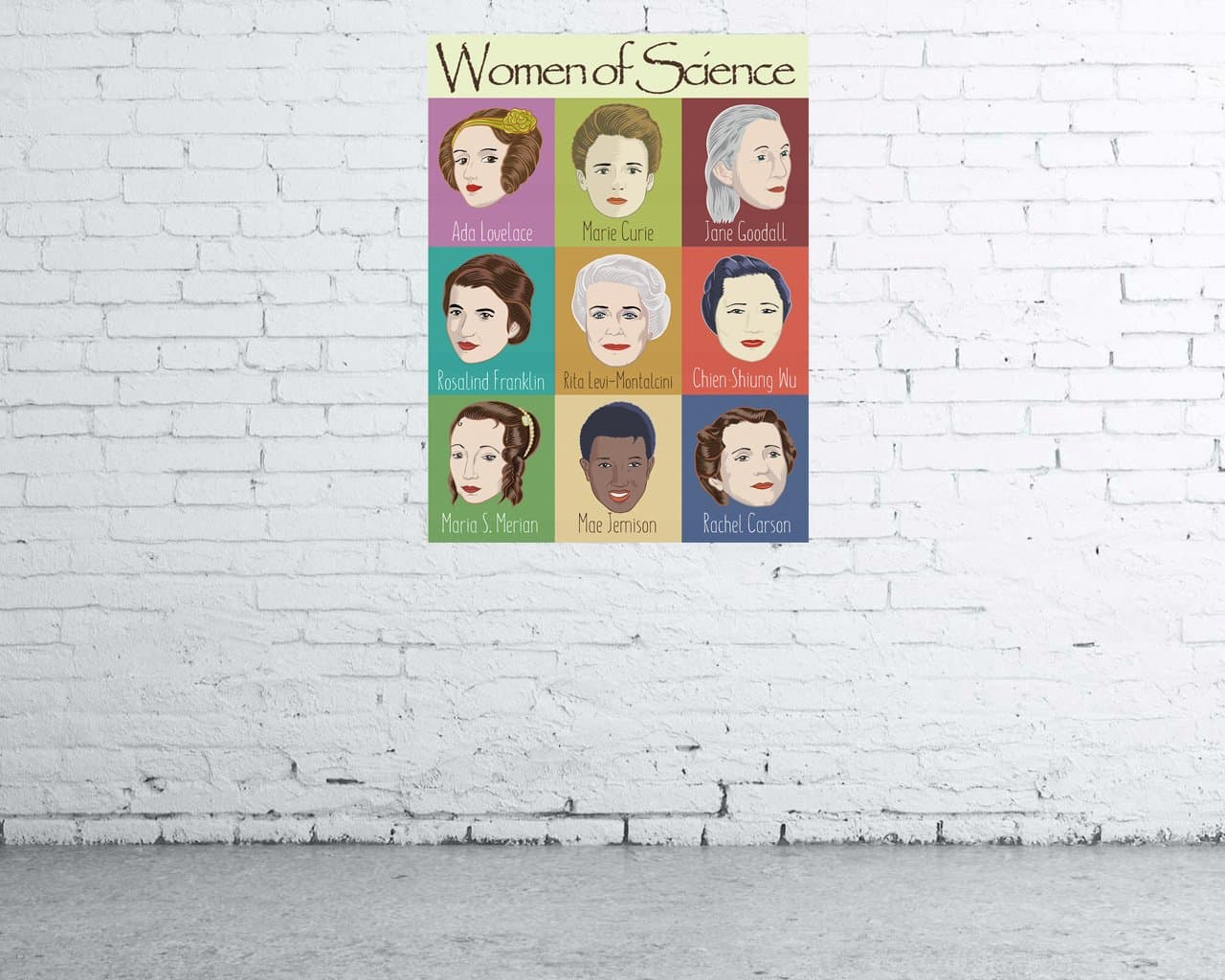 Nine Women in Science Poster High Quality 18 by 24 inches