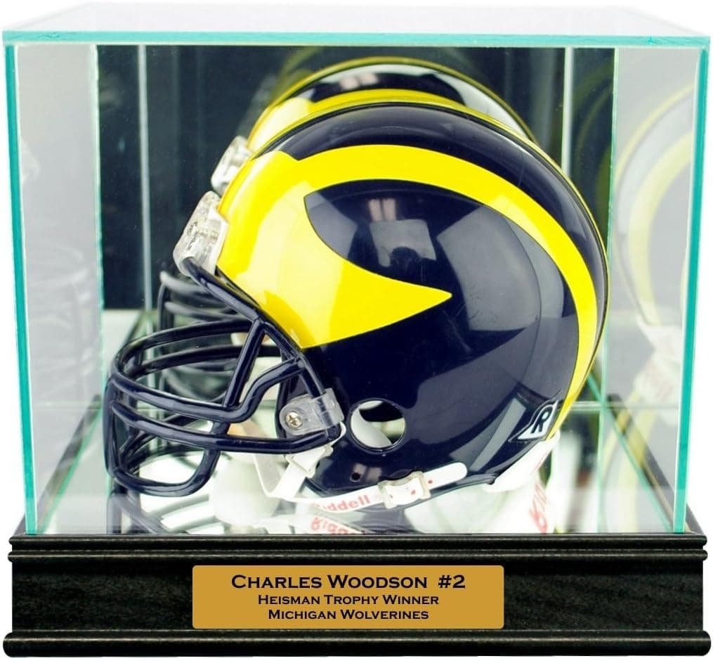 Perfect Cases Mini Helmet Display Case with Sport Moulding