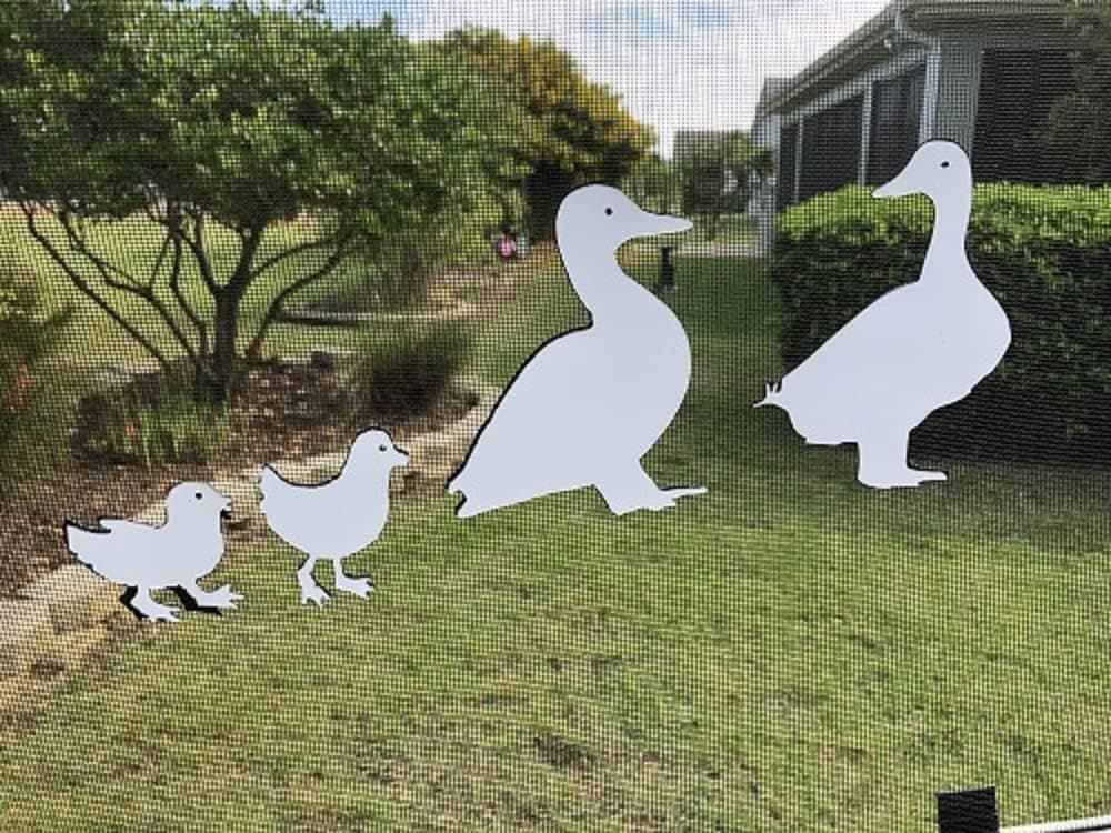 DCentral Ducks Flexible Screen Magnets: Double-Sided. Safety White-Easier to See Day & Night. Decorative. Helps to Stop Walking into Screens, Covers Small tears in Screens Size Varies 6" to 2"