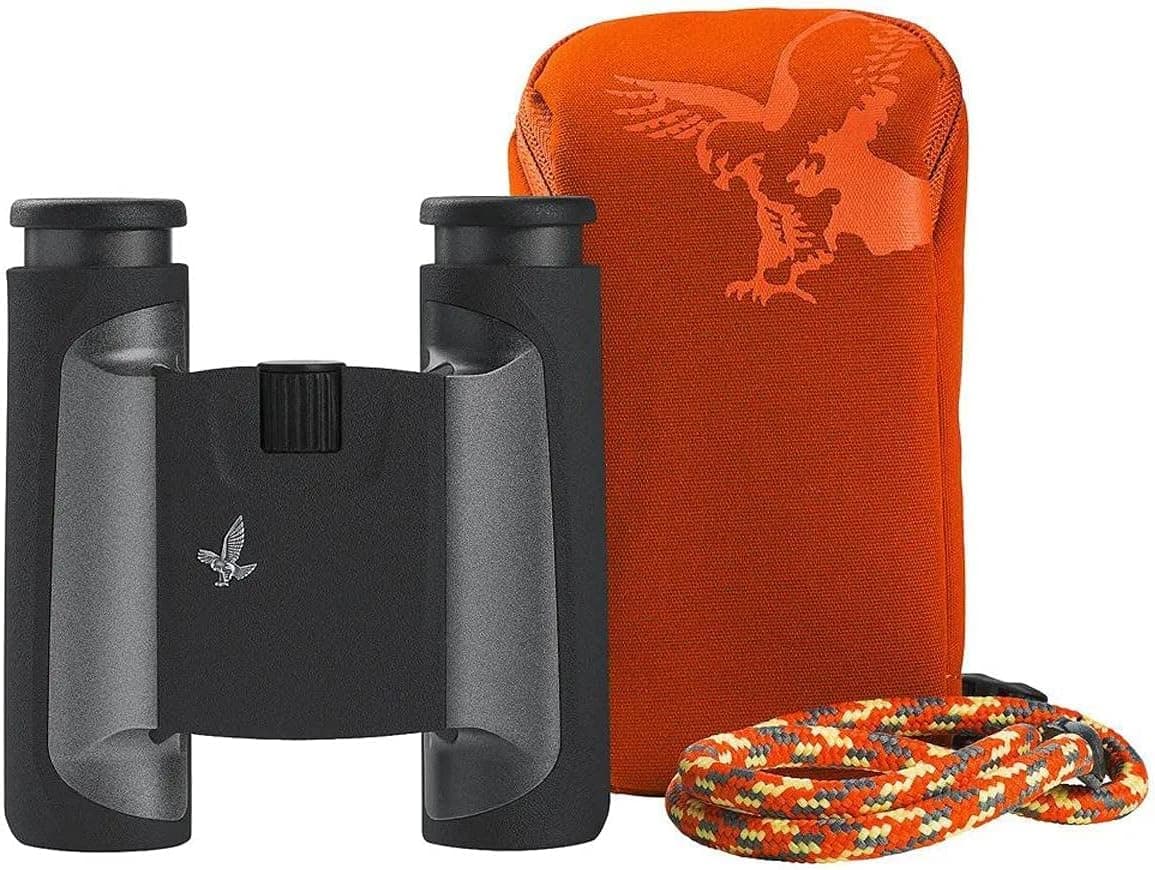 Swarovski 10x25 CL Pocket Binoculars (Anthracite, Mountain Field Bag)
