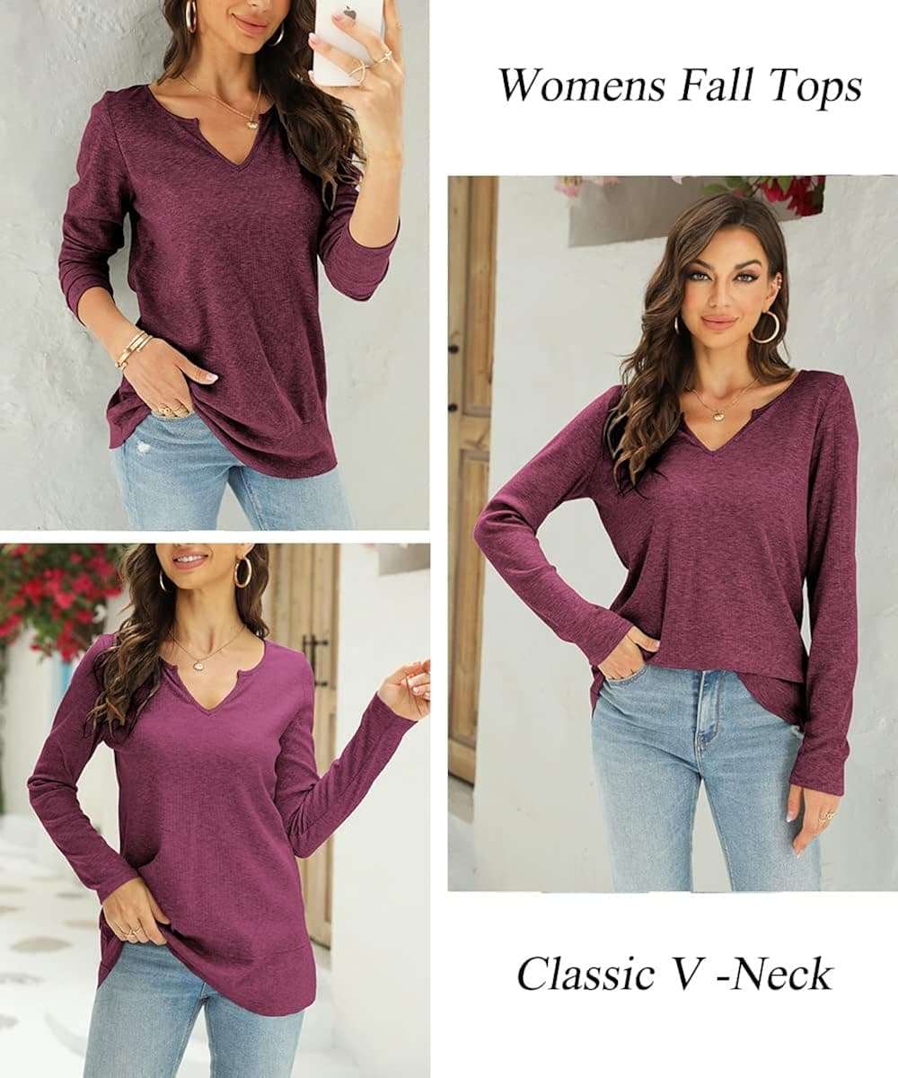 Lueluoye Womens Tunic Tops for Leggings V Neck Long Sleeve Shirts Casual Fall Sweatshirts