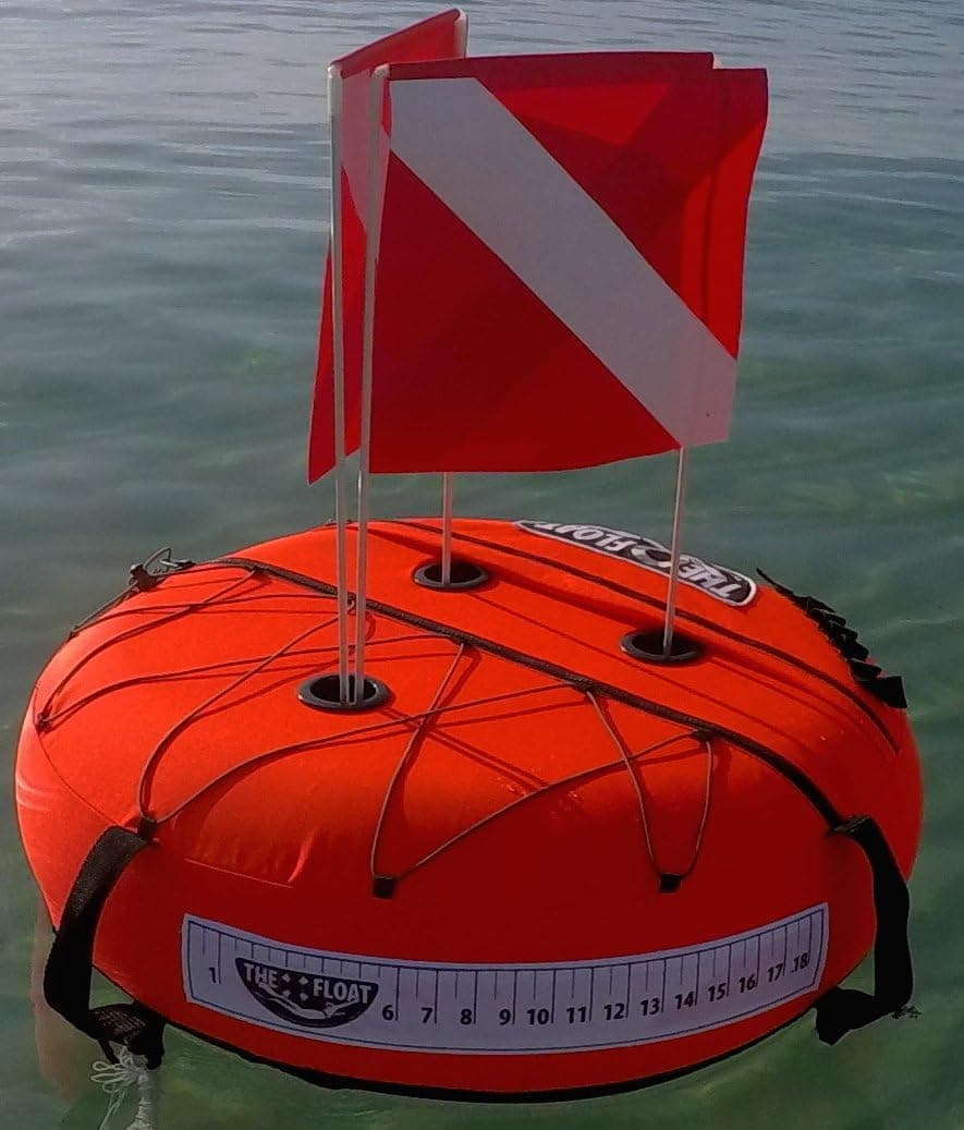 THE FLOAT