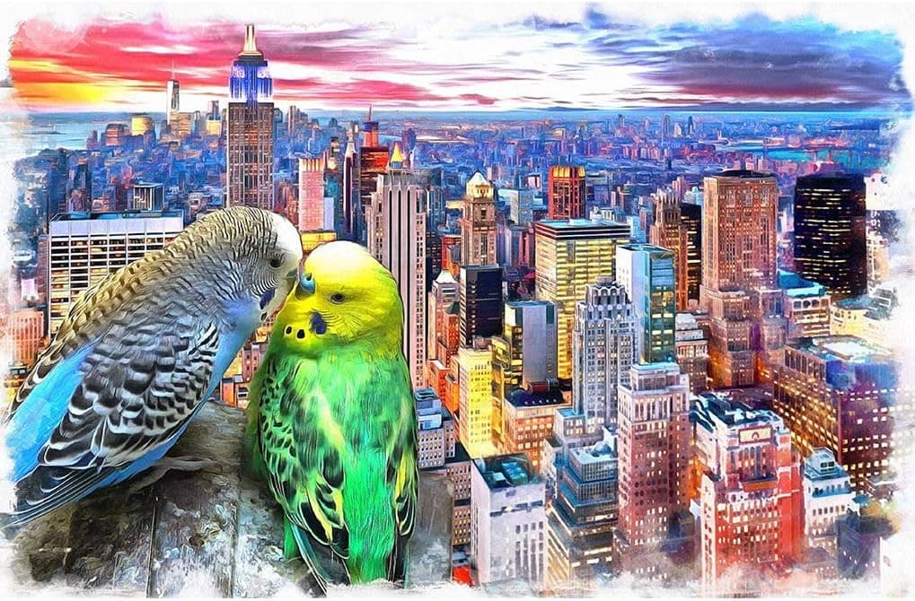 1000 Piece Puzzles for Adults Jigsaw Puzzles 1000 Pieces for Adults Kids Large Puzzle Game Toys Gift New York Sunset Landscape City with Romantic Parrot