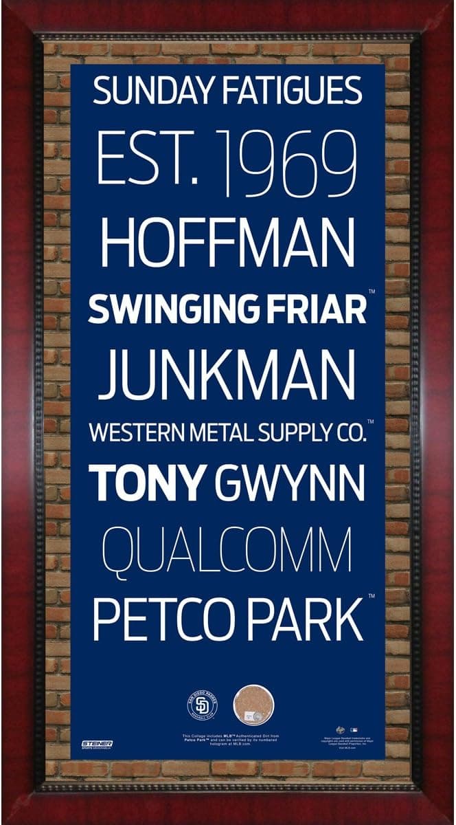 MLB San Diego Padres Subway Sign Wall Art with Authentic Dirt from Petco Park, 16x32-Inch
