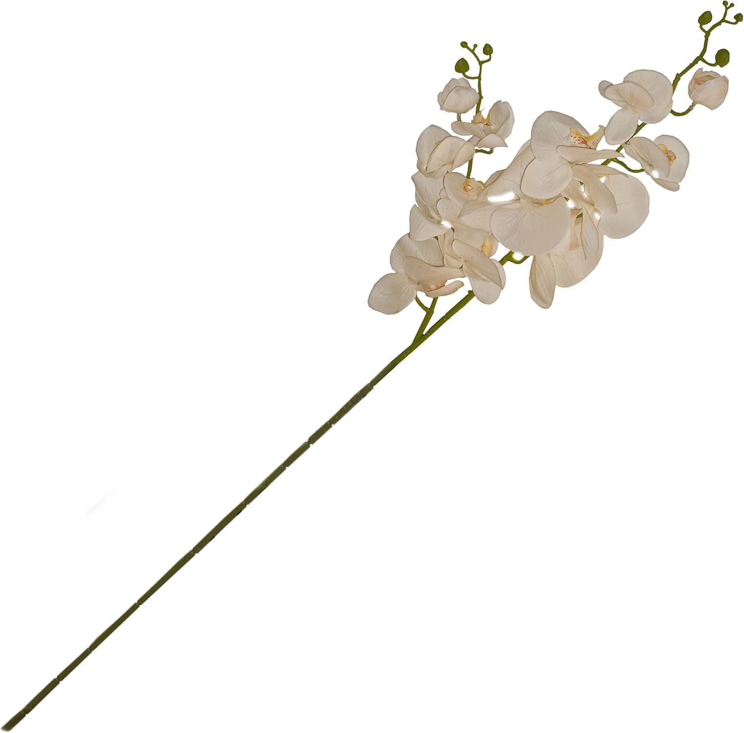ALEKO F2BOC42 Artificial 42 Inch Long 2 Branches Orchid Flower Cream Color