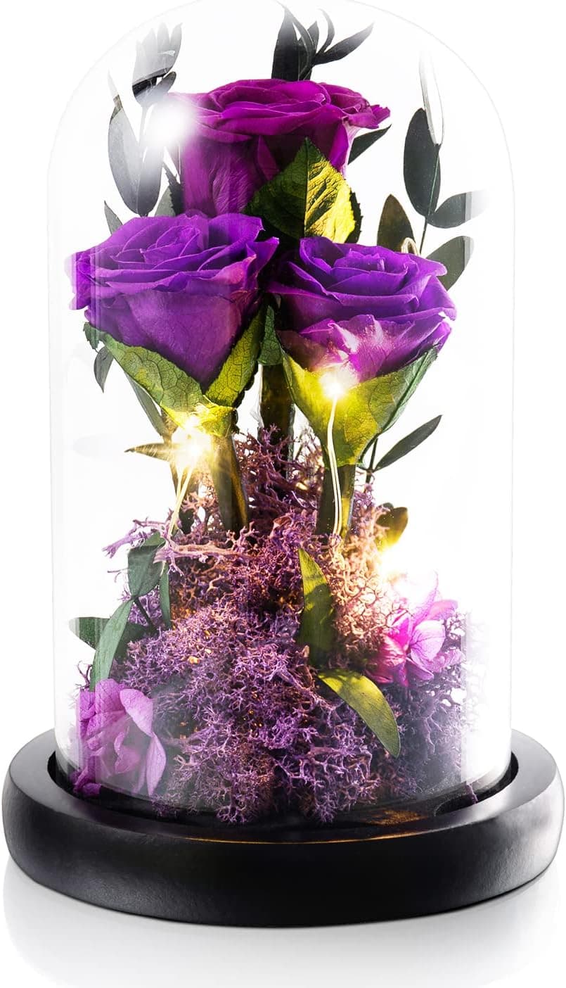 Mom Gifts for Mothers Day Rose Flower Gifts for Women Preserved Rose in Glass Dome