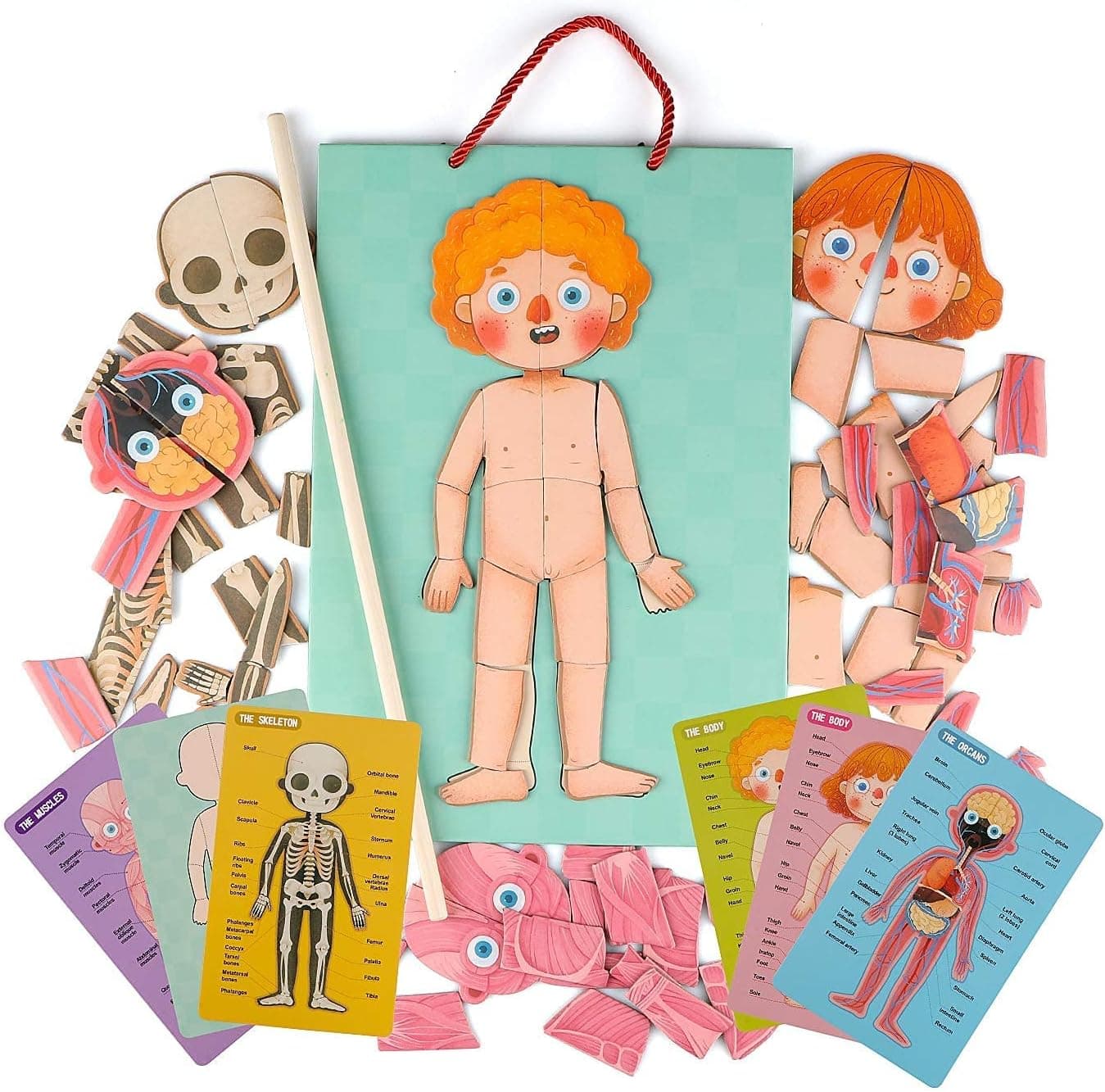 Wondertoys Human Body Puzzle for Kids - 90 Pcs skeleton puzzle body parts for toddlers Wooden Magnetic Puzzle Educational Human Anatomy Body Puzzles to Learn Body Parts, preschool classroom must haves