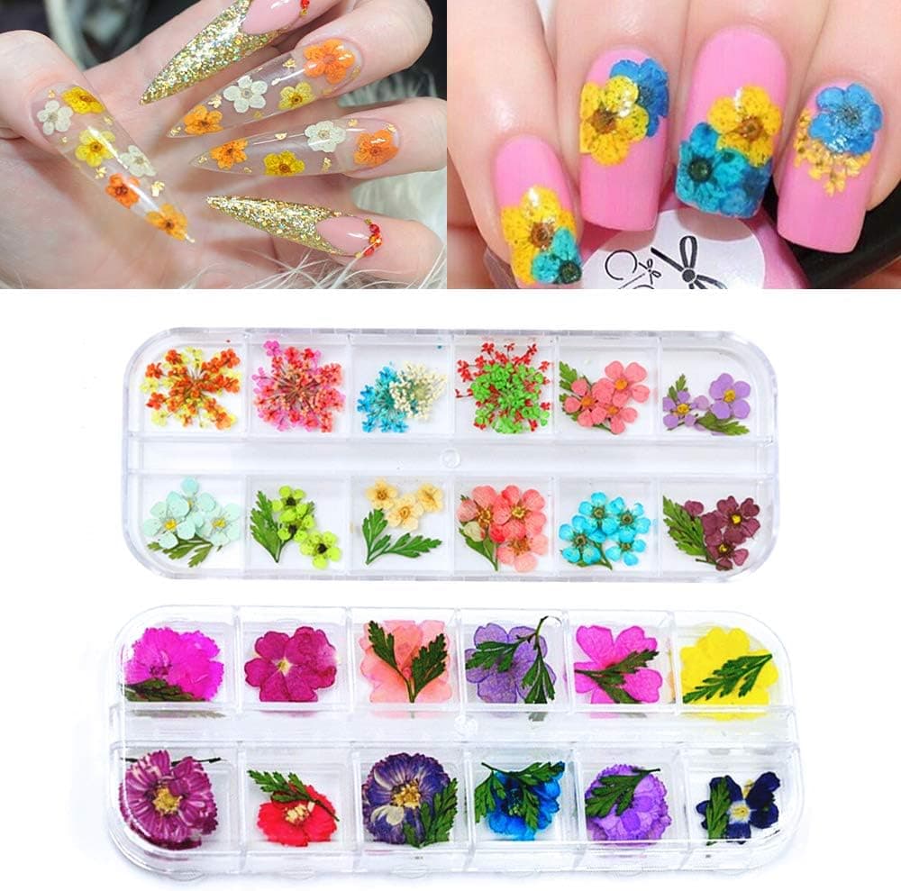 Kalolary 24 Colors 3D Dried Flowers Nail Art Supplies, Colorful Real Flowers and Green Leaf nail Art Stickers Decoration, 3D Nail Decoration for UV Gel/Acrylic Nail Design(2 Boxes)