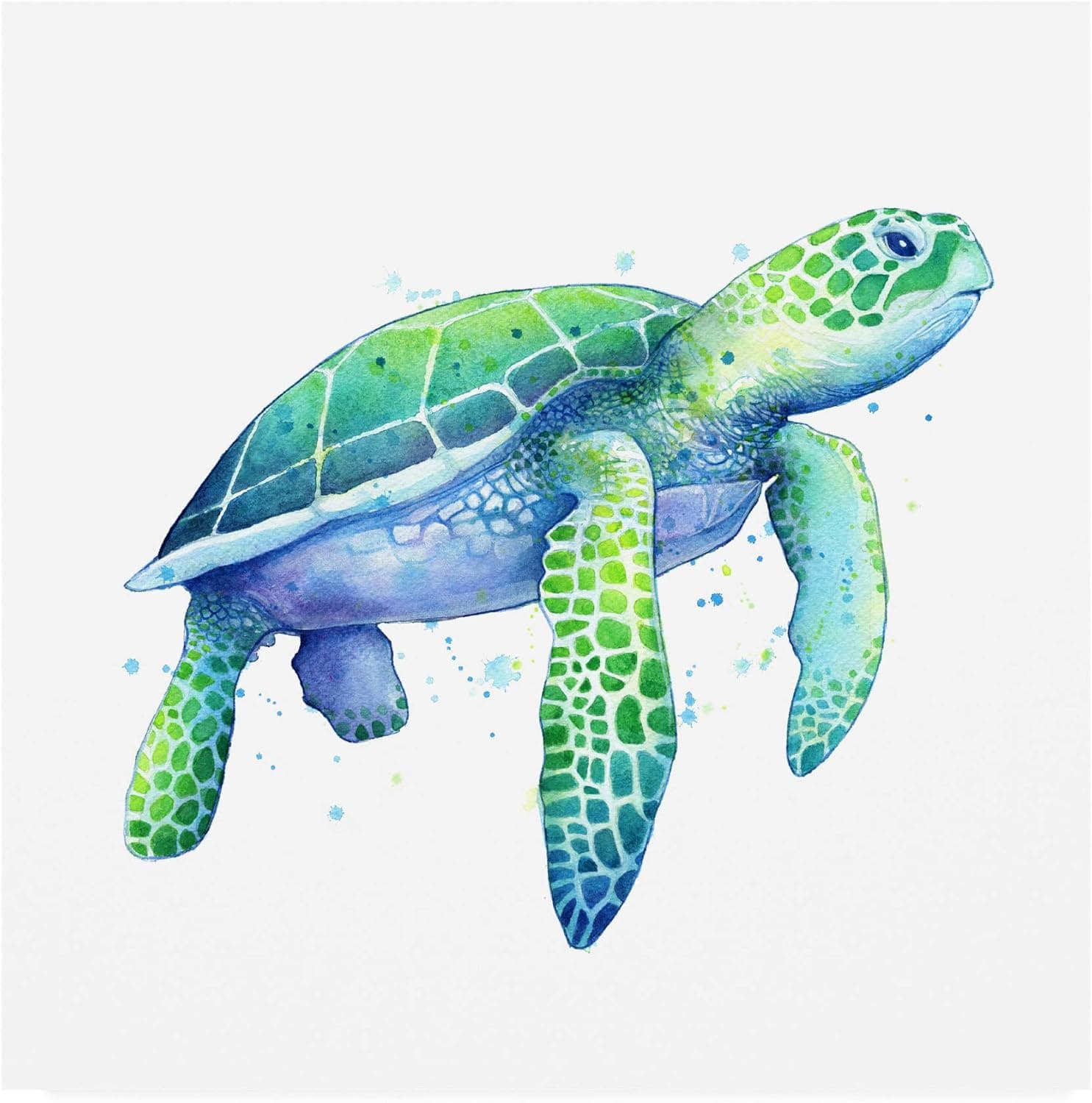 Trademark Fine Art Green Sea Turtle Painting by Sam Nage, 24x24, Multiple