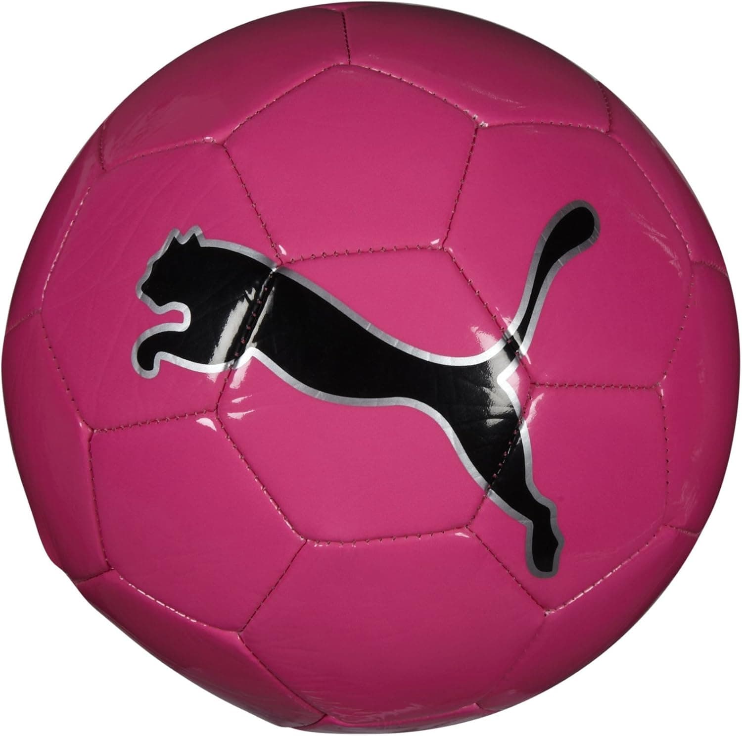 Puma FluoCat Training Soccer Ball