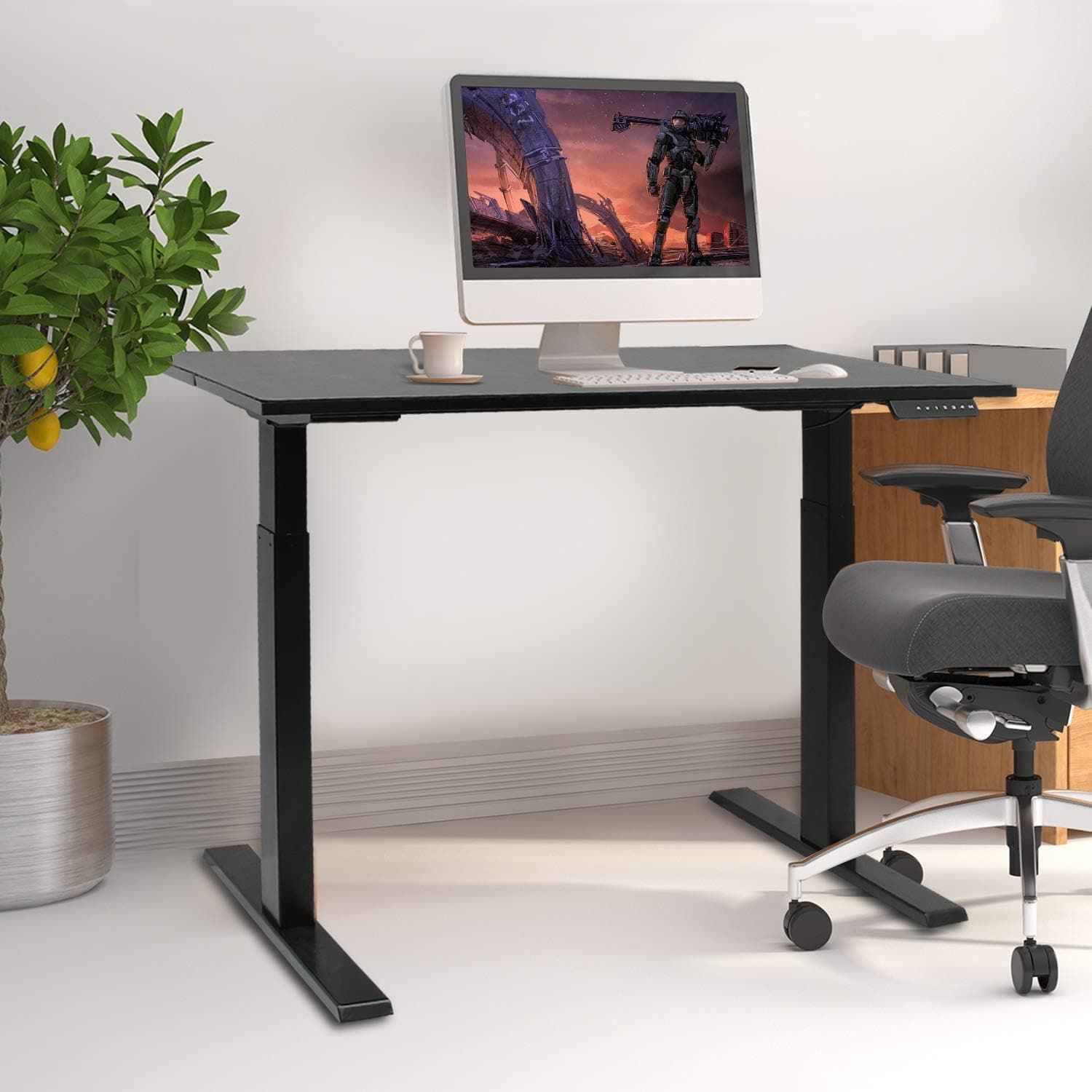 Maxhonor Electric Dual Motor Height Adjustable Computer Standing Desk, 43 x 24 Inches, Black