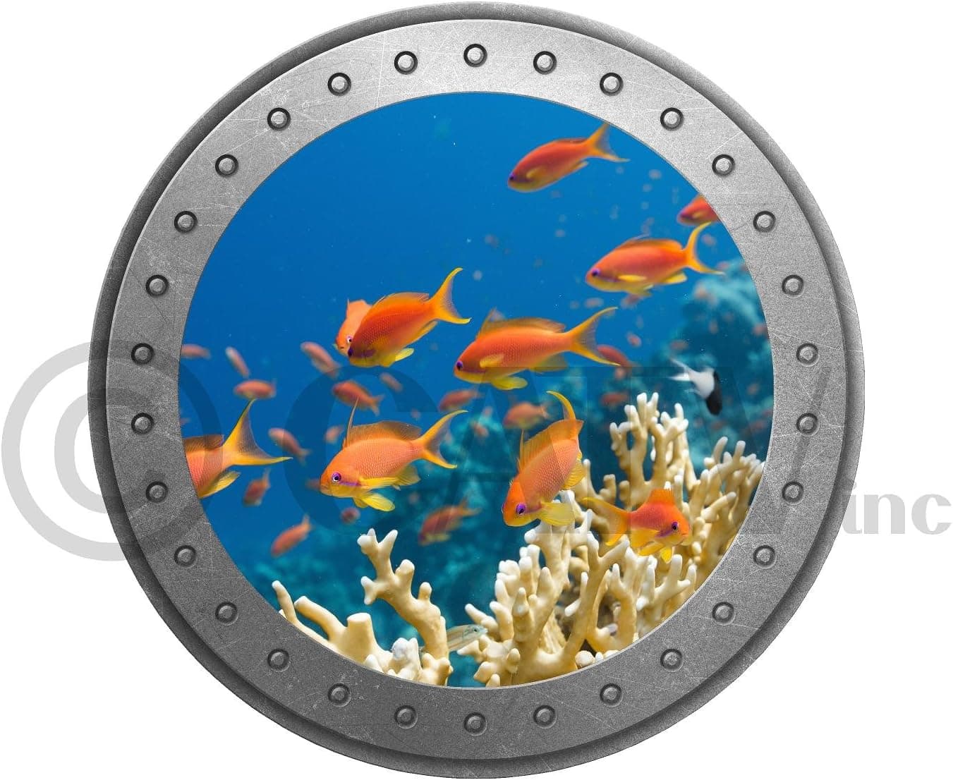 Porthole Vinyl Lettering Decal Home Decor Wall Art Saying Nautical Ocean (School of Fish)
