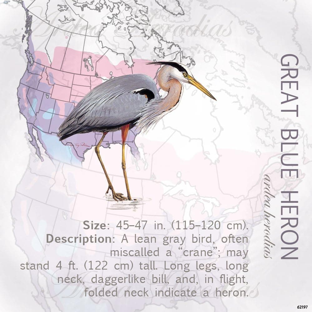 Tree-Free Greetings Refrigerator Magnet, 3.5x3.5 Inches, Great Blue Heron by Roger Tory Peterson (62197)