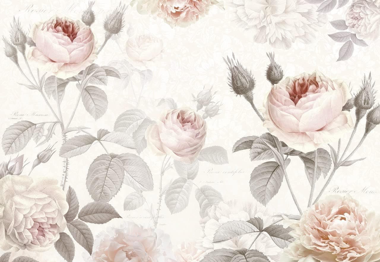 Komar XXL4-034 La Maison Wall Mural, Pink