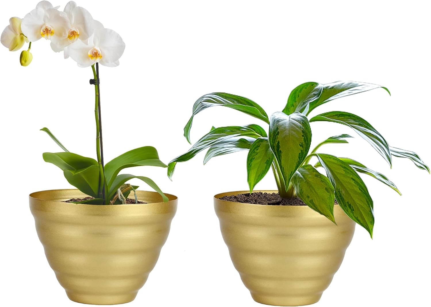 Vixdonos Metal Succulent Plant Pots Indoor Decorative Flower Pots Set of 2 Planters with Drain Hole (Champagne Gold)