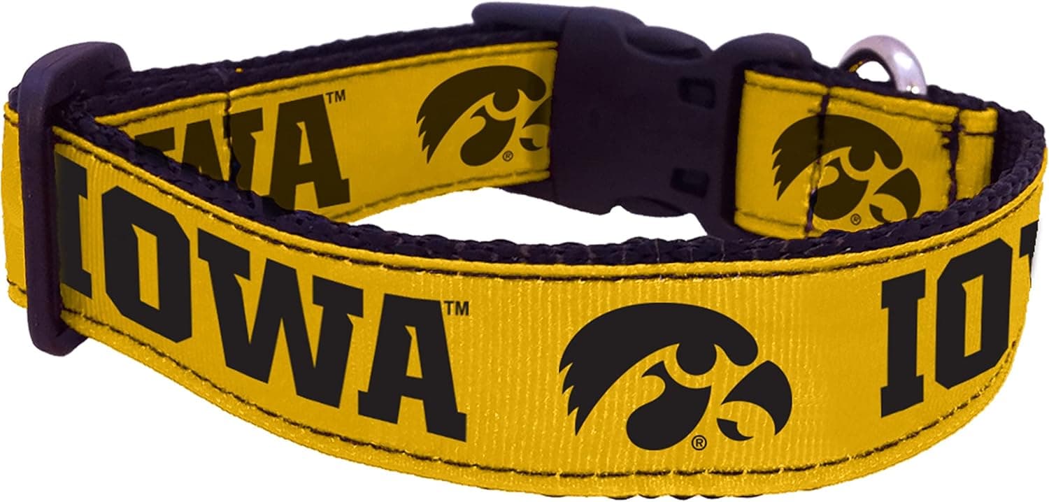 NCAA Iowa Hawkeyes Dog Collar (Team Color, Small)