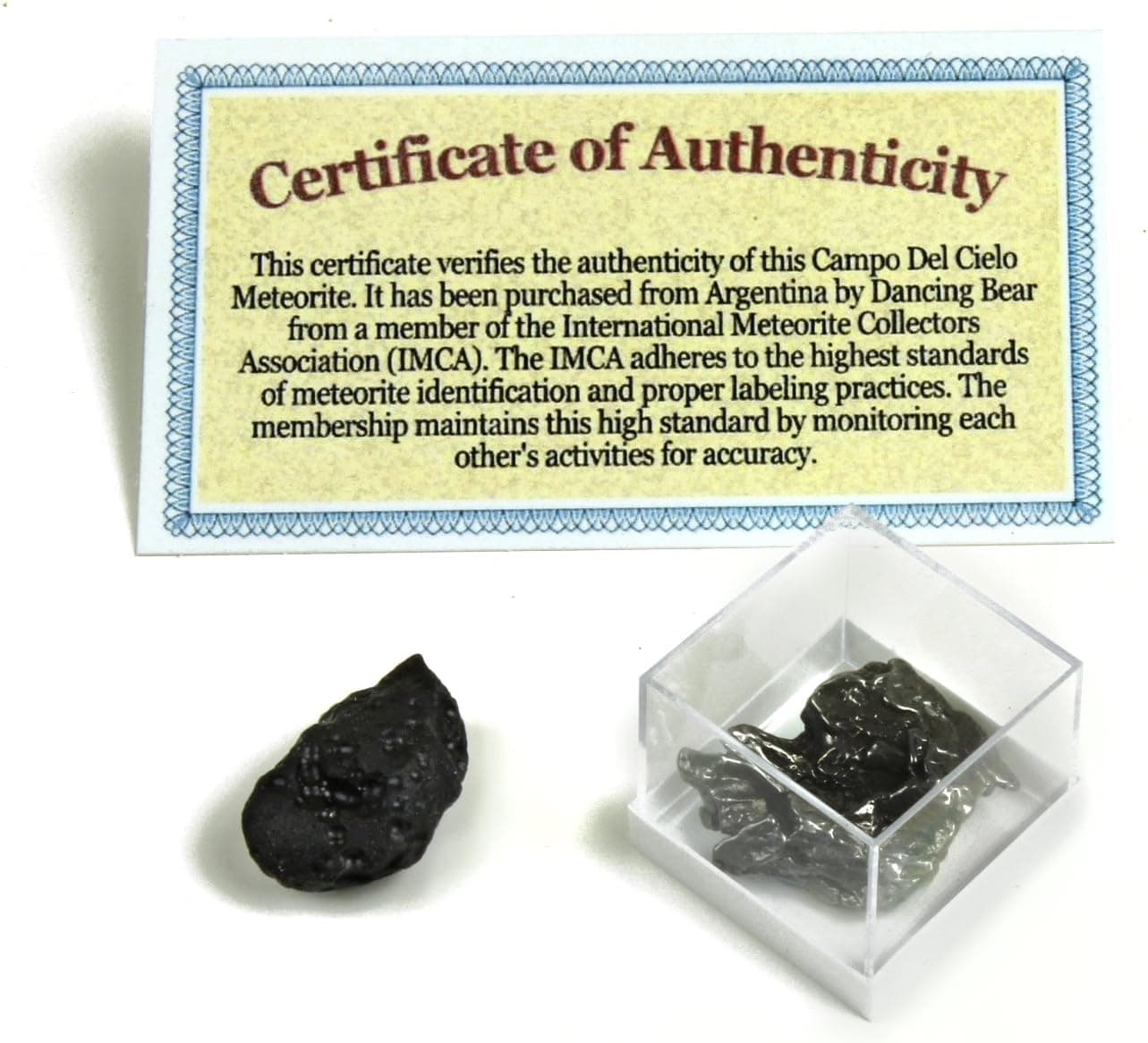 DANCING BEAR Genuine Meteorite (7-9 Grams) from Campo del Cielo in Argentina. Bonus: Tektite (2.5-4.5 Grams), Certificate of Authenticity, Educational Info Cards and Display Box, Brand