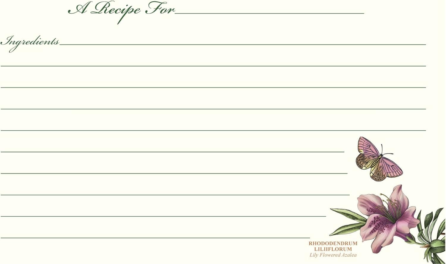 CR Gibson 4 by 6-Inch Portmeirion's Botanic Garden Design Recipe Cards, 40-Count