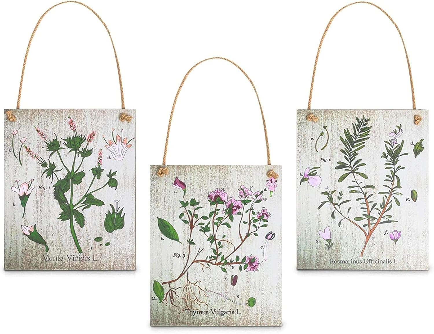 Juvale Wood Kitchen Signs with Herb Prints (7.8 x 9.36 in, 3 Pack)