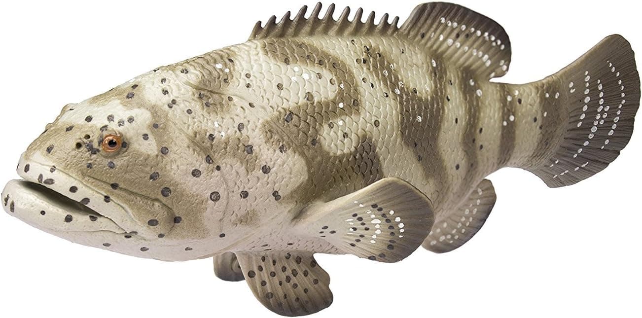 Safari S265329 Goliath Grouper,Multicolor