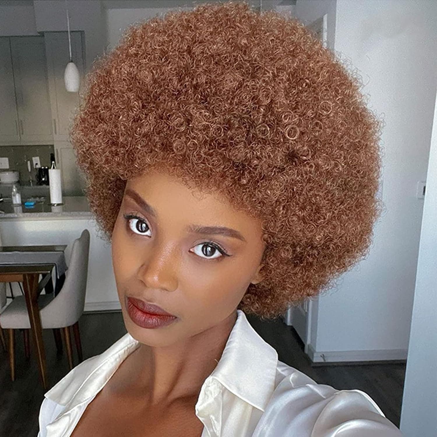 Fannace Afro Wigs Short Afro Kinky Curly Wigs for Black Women Large Bouncy and Soft Natural Looking Premium Synthetic Afro Hair Wigs for Women(1BT30#)