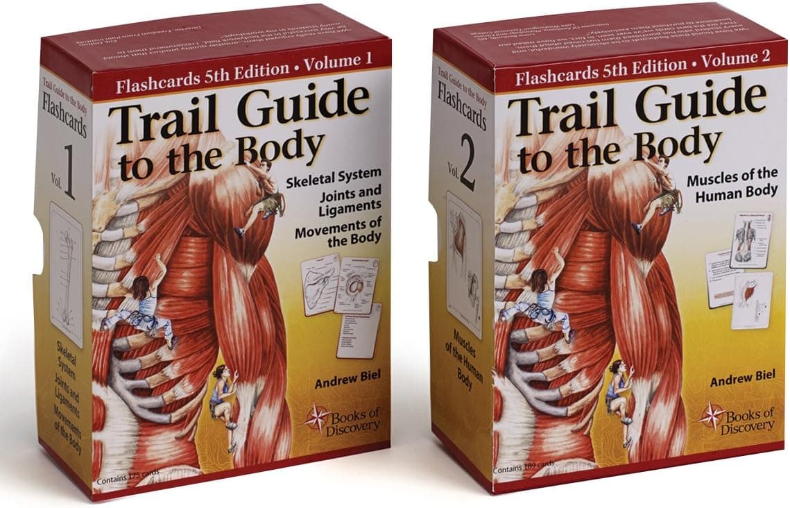 Trail Guide To The Body Flash Card Set - Skeletal System and Muscles of the Human Body