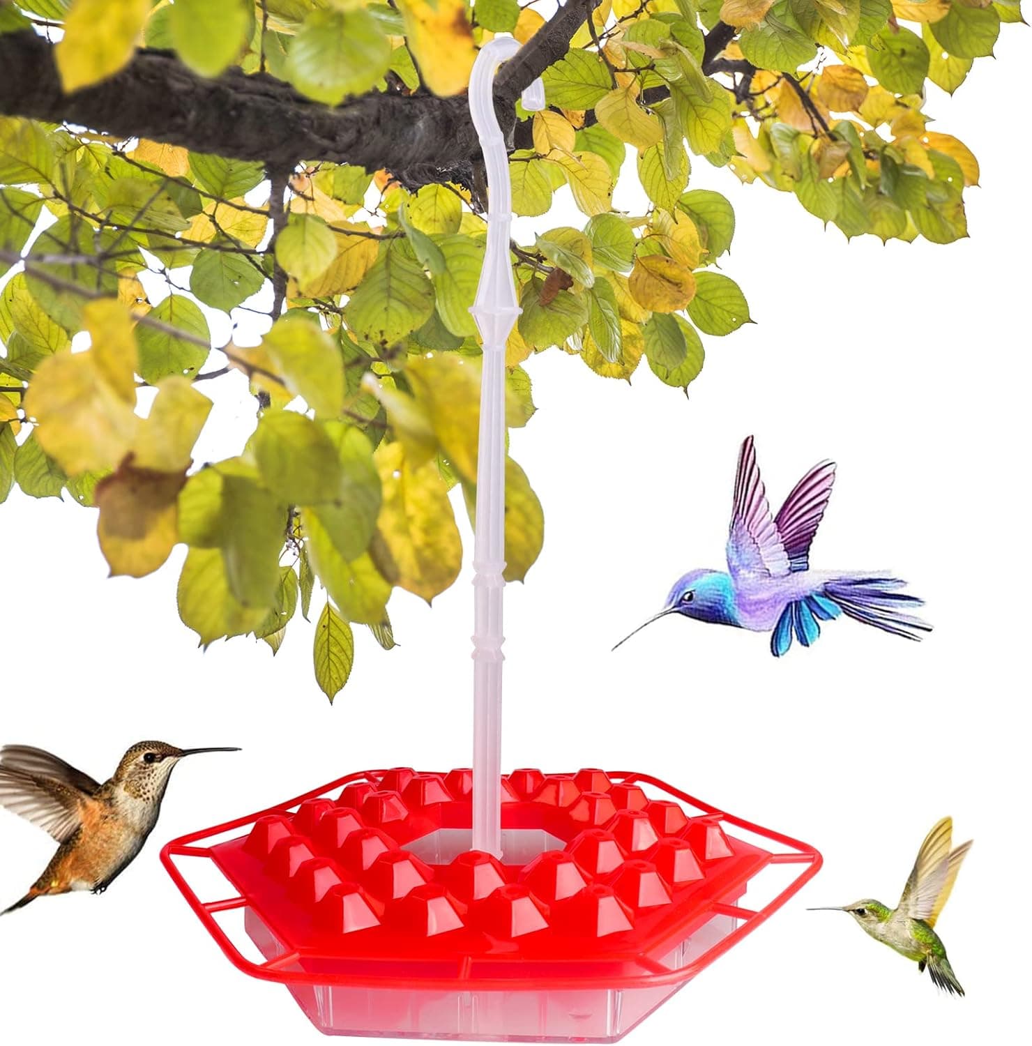Mary's Hummingbird Feeder, with 30 Feeding Ports Unique Perch and Built-in Moat, Dishwasher Safe Humming Bird Feeder for Outdoor Hanging Yard Garden Decoration, Easy to Fill and Clean