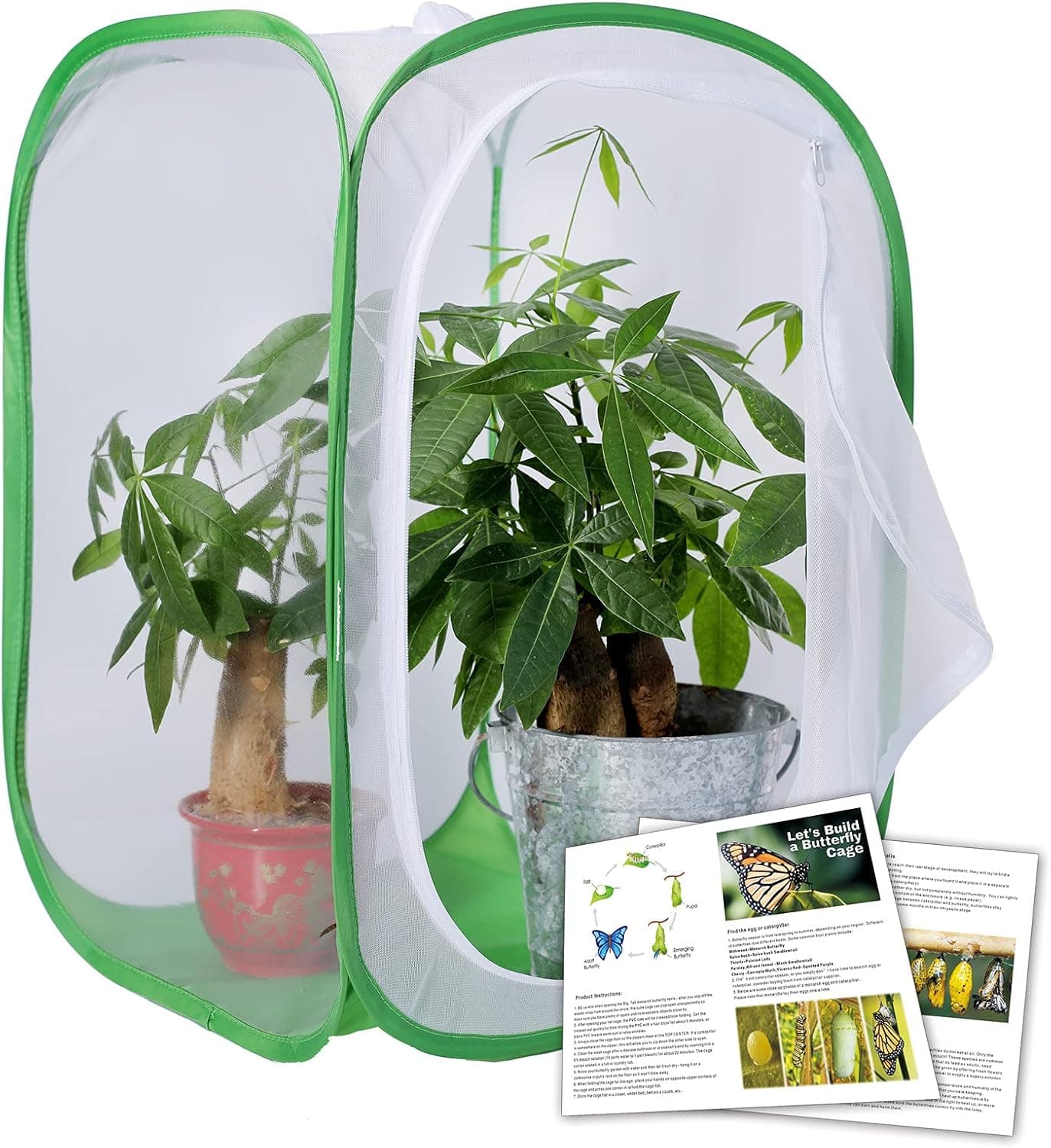 Butterfly Habitat Cage Insect and Monarch Butterfly Enclosure with Live Caterpillars Kit for Butterfly Keeper Pop Up 24 Inches Tall (16 x 16 x 24 inch)