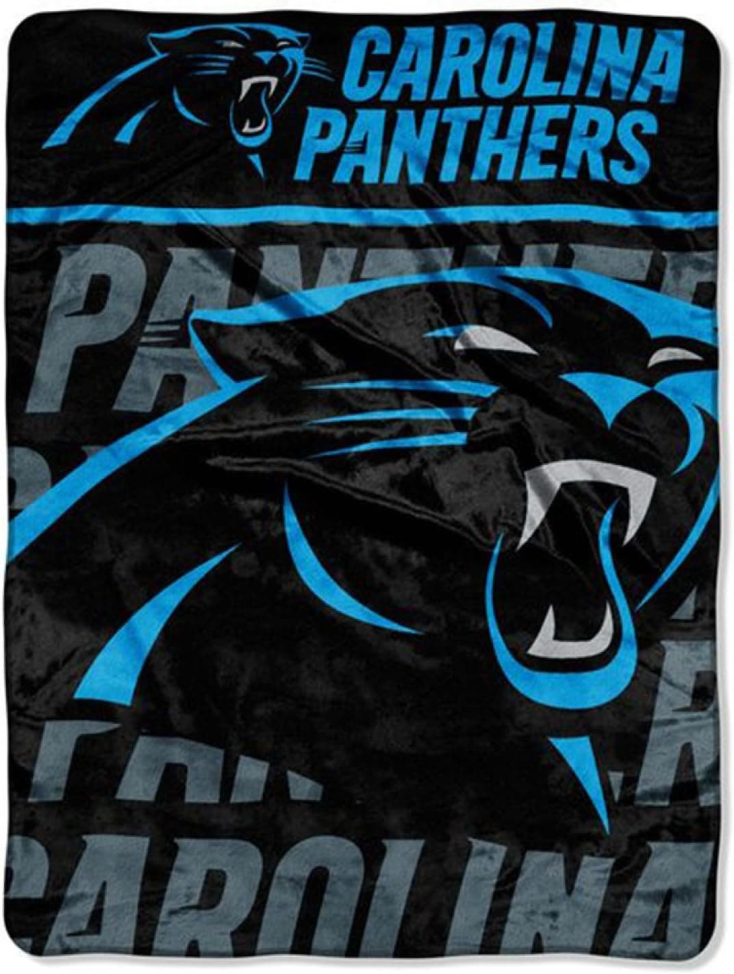 NFL Carolina Panthers Micro Raschel Throw Blanket, 46 x 60-Inch