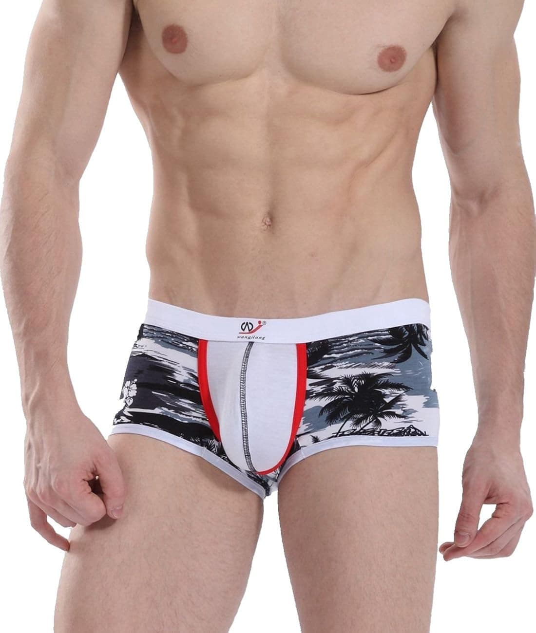 LCMT Sexy Men's Boxer Briefs The Printed Character Underwear