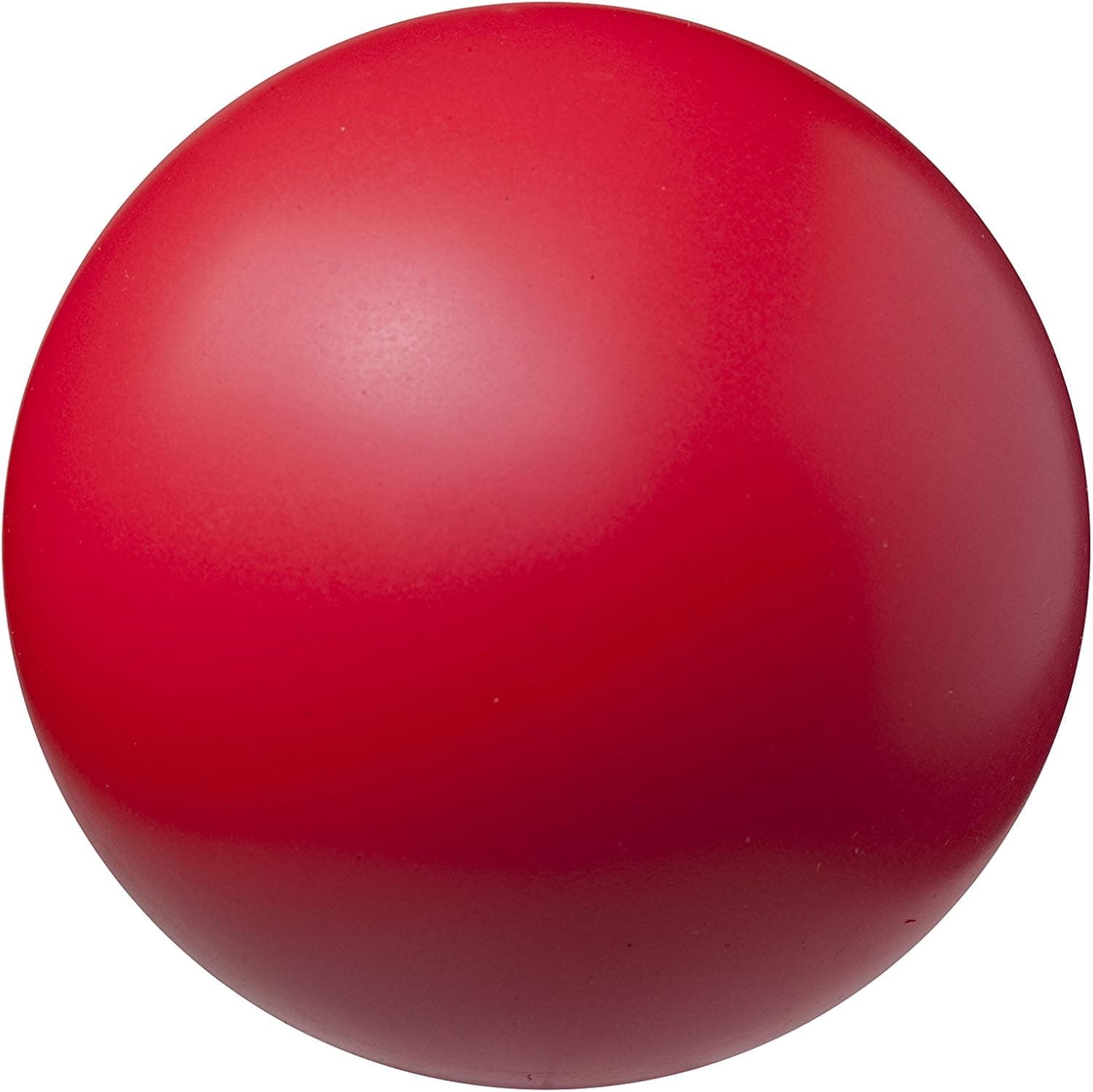 Champion Sports Coated High Density Foam Ball (6-Inch)