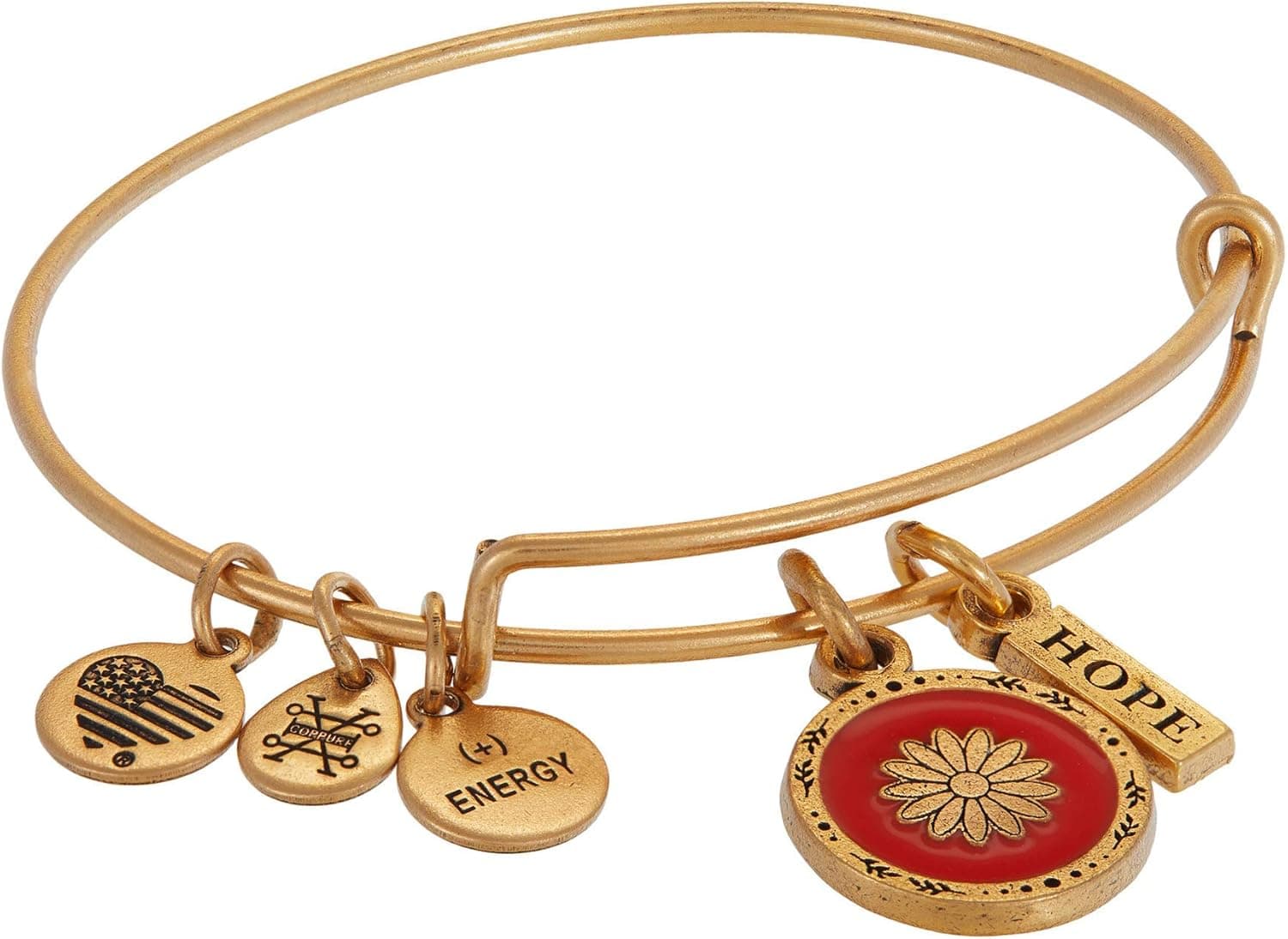 Alex and Ani Hope Mantra Duo Bracelet